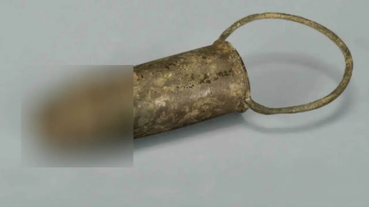 Ancient dildo (0)