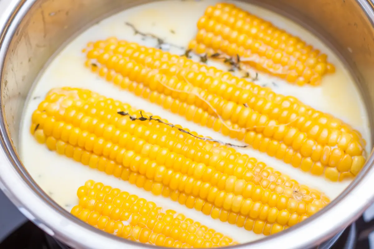 jagung rebus