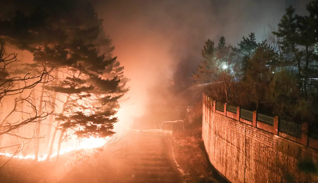 Kebakaran hutan yang melanda di dekat sebuah kota di Sokcho, Korea Selatan (4/4). Kantor berita Yonhap melaporkan, ada 45 helikopter, 77 kendaraan pemadam, dan 13.000 personel dikerahkan untuk mengatasi kebakaran hutan tersebut. (AFP Photo/South Korea Out)