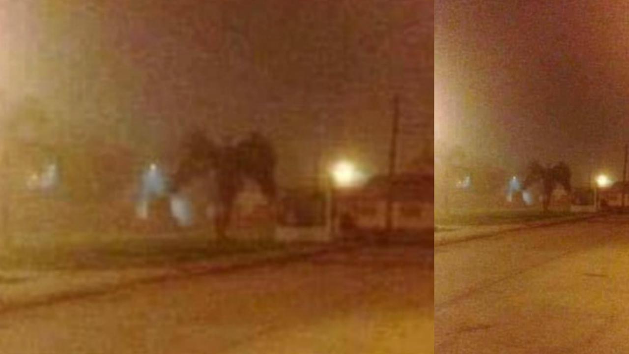 Penampakan 'iblis' bersayap. (Facebook)