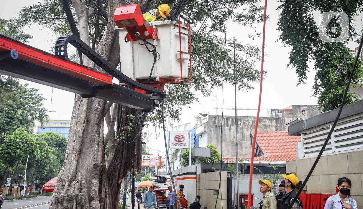 Petugas Satgas Bina Marga Jakarta Pusat melakukan penataan jaringan utilitas di kawasan Wahid Hasyim, Jakarta, Selasa (15/3/2022). Penataan kabel utilitas yang semrawut diharapkan meningkatkan kualitas pedesterian DKI Jakarta sehingga pejalan kaki merasa aman dan nyaman. (Liputan6.com/Faizal Fanani)