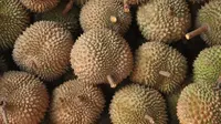 Ilustrasi Mimpi Makan Durian Credit: pexels.com/Mufid