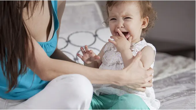 Courtesy ShutterStock.com