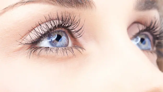 Foto: copyright shutterstock.com