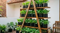 7 Model Rak Kebun Vertikal Sederhana dari Ember dan Bambu, Solusi Lahan Terbatas