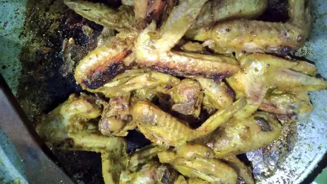 6 Momen Apes Makan Opor Ayam saat Lebaran Ini Bikin Elus Dada