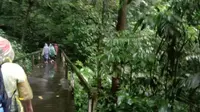 Menembus Hutan Mulu Menjelajahi Keindahan Gua Lang Sarawak Malaysia