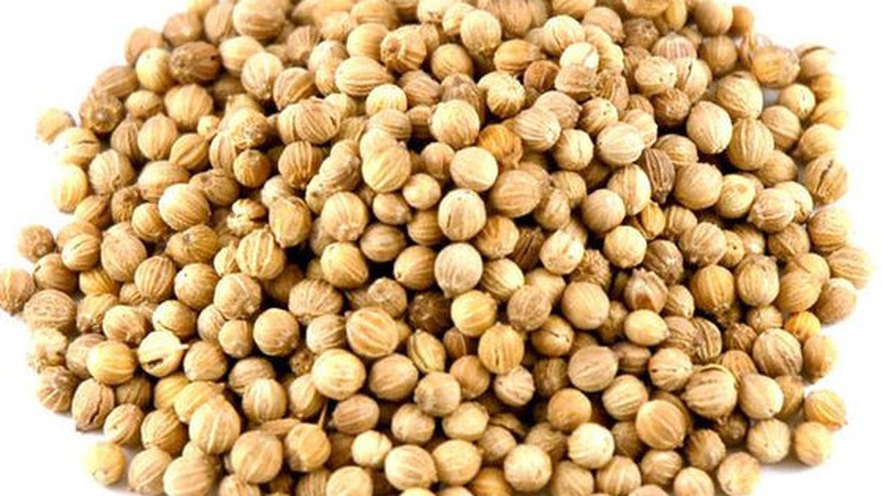 Biji Ketumbar. (foto: Pinterest/Savory Spice).