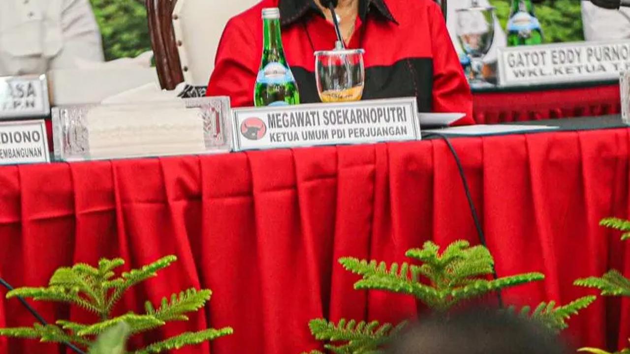 VIDEO: Kader PDIP Kecewa, Ungkit Megawati Marah & Nangis Jokowi Dihina Kodok
