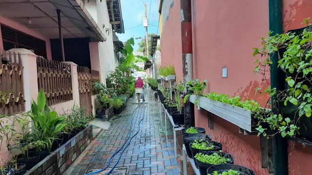 Tips Berkebun Skala Rumah Tangga ala Kampung Sayur Suryatmajan Yogyakarta