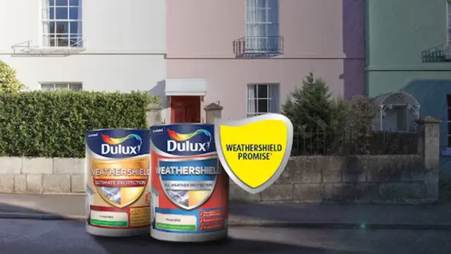 Cat Dulux Weathershield/dulux.co.uk