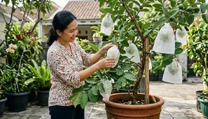 7 Jenis Pupuk untuk Jambu Kristal di Pot agar Rajin Berbunga dan Berbuah