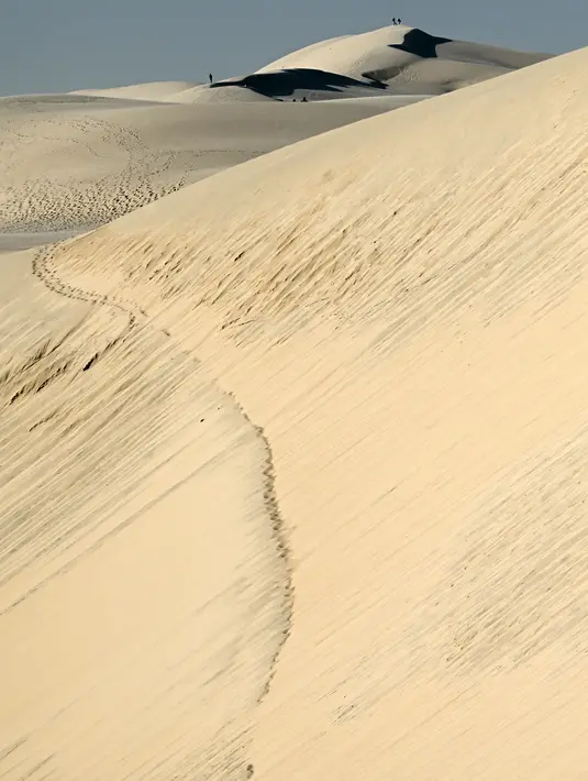 Sebuah gambar pada 3 April 2021 menunjukkan pemandangan bukit pasir tertinggi di Eropa yang disebut "Dune du Pilat" di La Teste-de-Buch, dekat Teluk Arcachon di Prancis. Memiliki panjang 3 Km dengan lebar 500 meter, The Dune of Pilat memisahkan antara laut dan hutan. (Philippe LOPEZ / AFP)