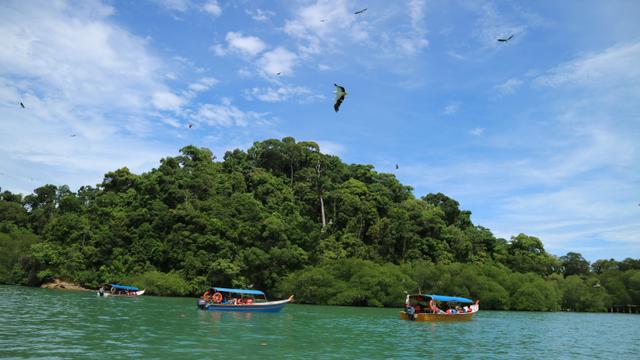 Ilustrasi Pulau Tropis