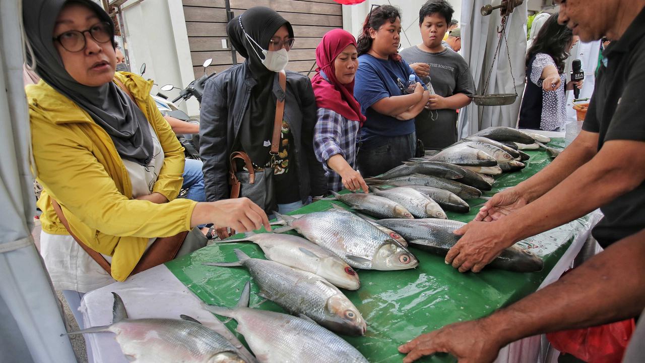 Semarak Festival Bandeng Rawa Belong jelang Tahun Baru Imlek