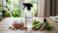 8 Cara Buat Semprotan Anti Tikus dengan Bahan Alami di Rumah