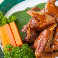 ilustrasi burung dara/copyright Shutterstock