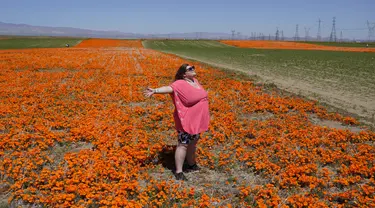 Laila Treadwell, yang berkunjung dari Atlanta, berpose untuk foto di ladang bunga poppy yang bermekaran di dekat Antelope Valley California Poppy Reserve, pada 10 April 2023, di Lancaster, California. (AP Photo/Marcio Jose Sanchez)