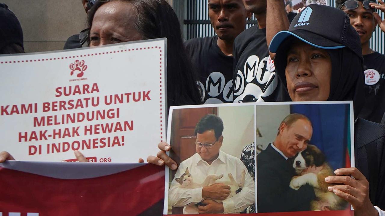 FOTO: Protes RUU Perlindungan Anjing-Kucing Gagal Masuk RUU Prolegnas, Aktivis Geruduk DPR Bawa Foto Prabowo dan Bobby