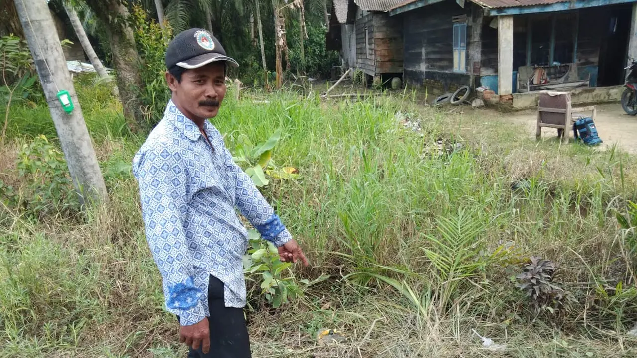 Saksi mata