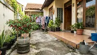 Cara agar Cabai Berbuah Lebat di Pot Galon, Panen Melimpah Meski Lahan Sempit