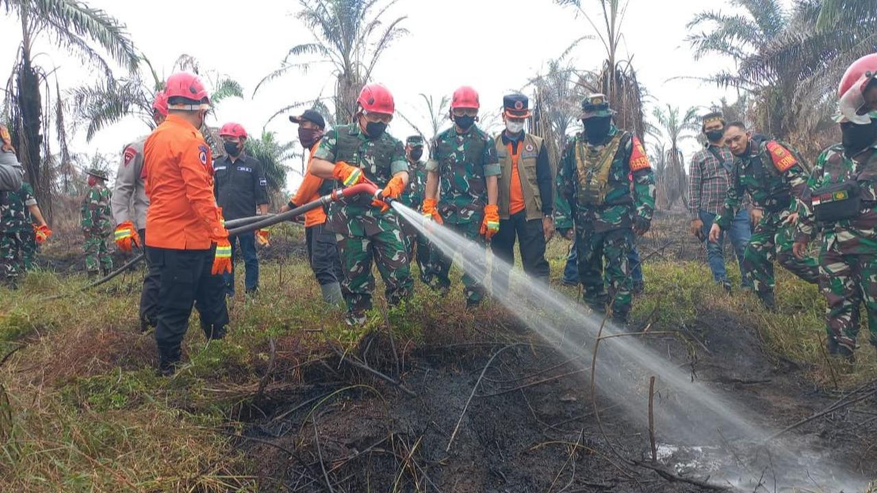 Sedangkan untuk luasan lahan yang terbakar, kata Dudung, secara total lahan yang terbakar yaitu 540 hektare. Ada lahan masyarakat dan perusahaan juga ikut terbakar<br>