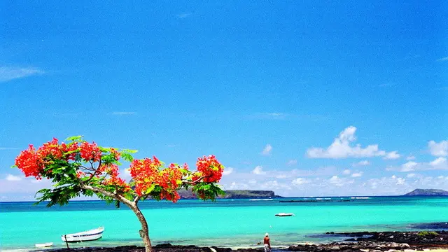 Pulau Aneh