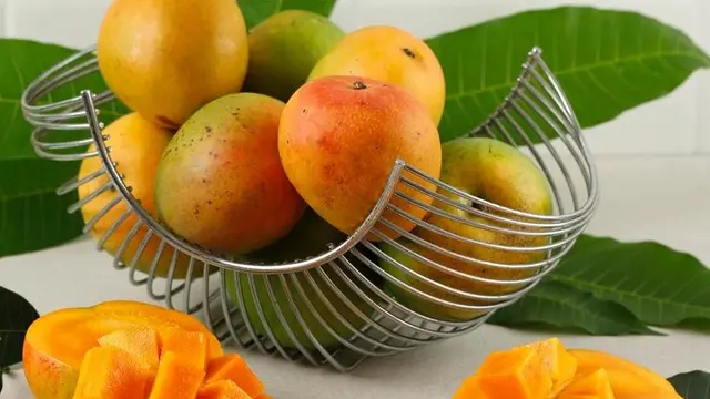 Ilustrasi buah mangga/freepik.com/ikarahma