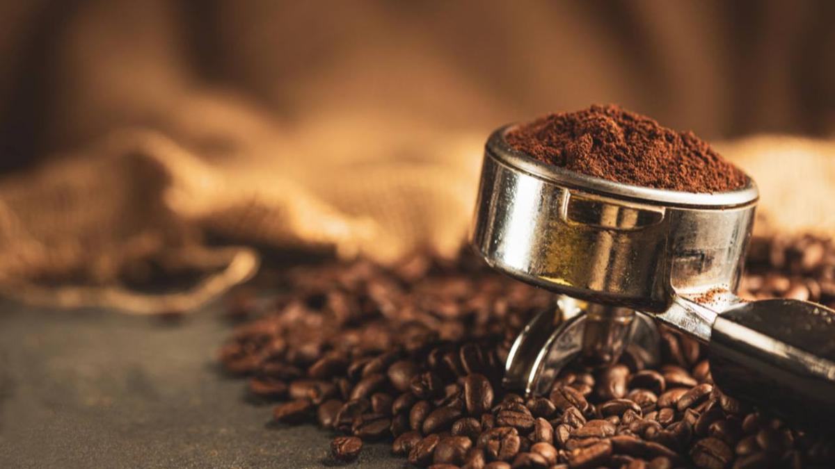 Coffee Lovers Wajib Coba! Ini Rekomendasi Kopi Arabica Lokal dengan Rasa Juara