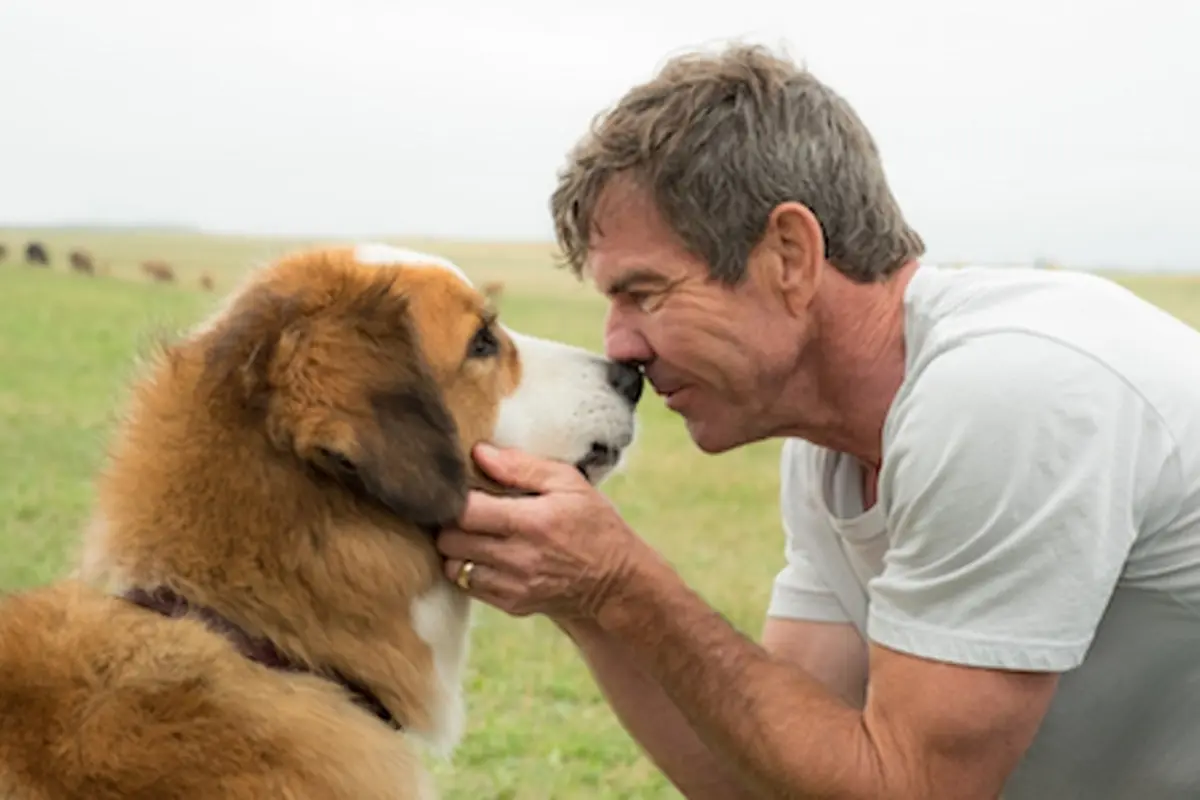 [Bintang] A Dog's Purpose