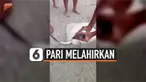 Ini adalah momen mengharukan para pengunjung pantai membantu seekor ikan pari betina yang melahirkan anaknya.