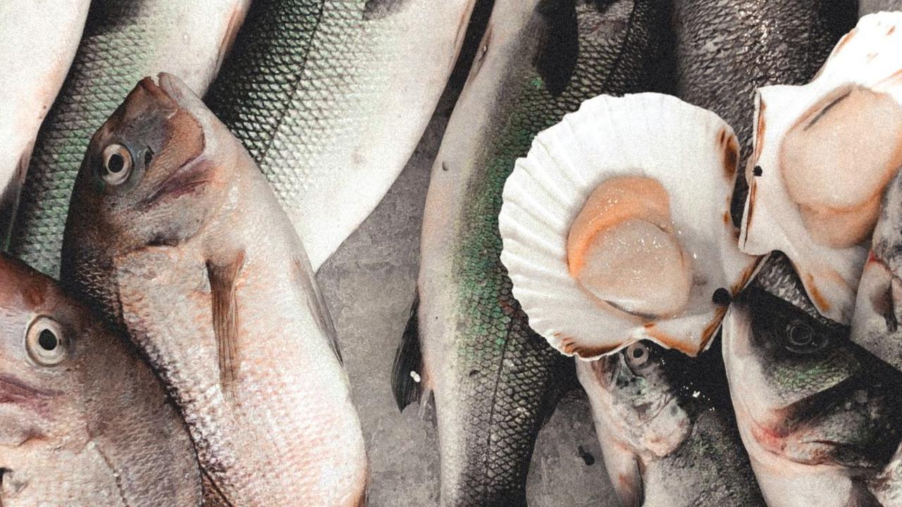 9 Ikan Lokal untuk MPASI, Mudah Dicari dan Efektif Bantu Cerdaskan Otak Anak