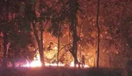 Kebakaran menghanguskan hutan jati yang ada di kawasan Taman Nasional Baluran, Minggu malam (11/6/2023). (Liputan6.com/ BPBD Situbondo)