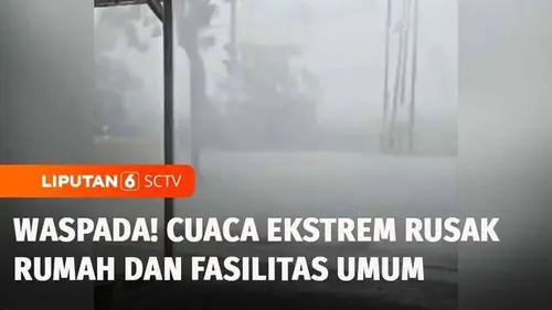 VIDEO: Cuaca Ekstrem di Gunungkidul Jogja, Pohon Tumbang dan Fasilitas Umum Rusak