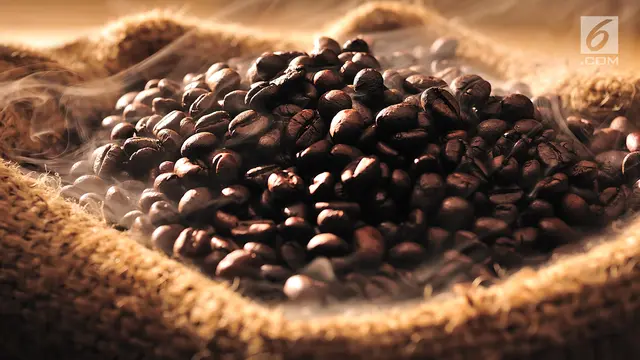 Biji Kopi