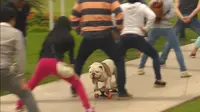 Seekor anjing jenis bulldog memecahkan Guinness World Records setelah berhasil melewati terowongan 30 kaki manusia
