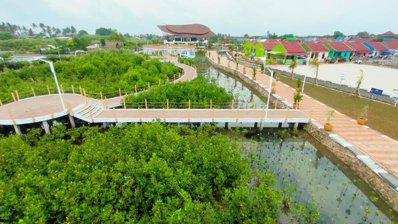 Ketapang Urban Aquaculture di Desa Ketapang, Kecamatan Mauk, Kabupaten Tangerang