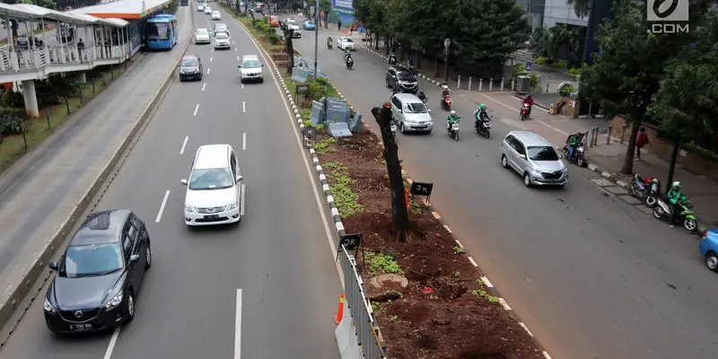 Ratusan Pohon Dipindahkan dari Sudirman-Thamrin