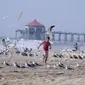 Anak laki-laki berlari melewati sekawanan burung camar di pantai di Huntington Beach, California, Senin (11/10/2021). Pantai Huntington membuka kembali garis pantainya setelah hasil pengujian air kembali dengan jumlah racun terkait minyak yang tidak terdeteksi di air laut. (AP Photo/Ringo HW Chiu)