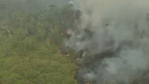 Kebakaran Hutan Belum Berstatus Bencana Nasional, Dudung Ungkap Alasannya