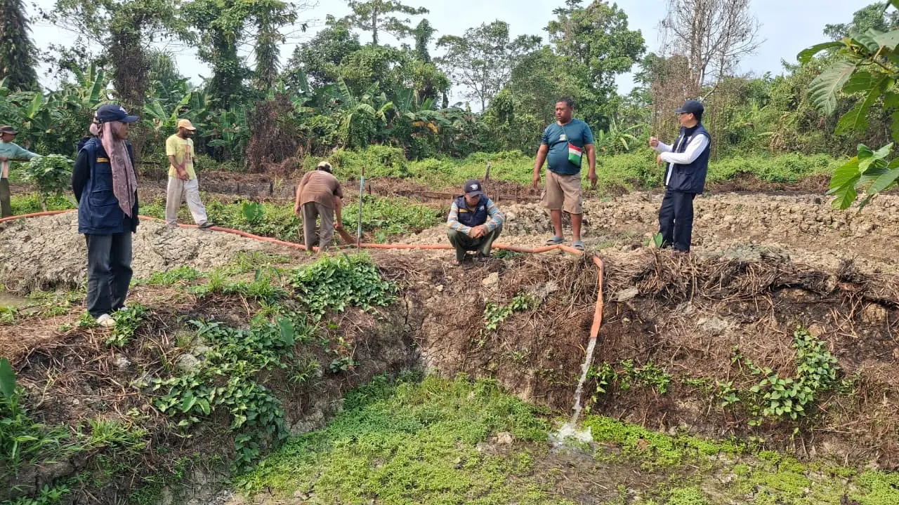 Sebanyak 22 kolam budidaya ikan milik warga di Distrik Klamono, Kabupaten Sorong, Papua Barat Daya,