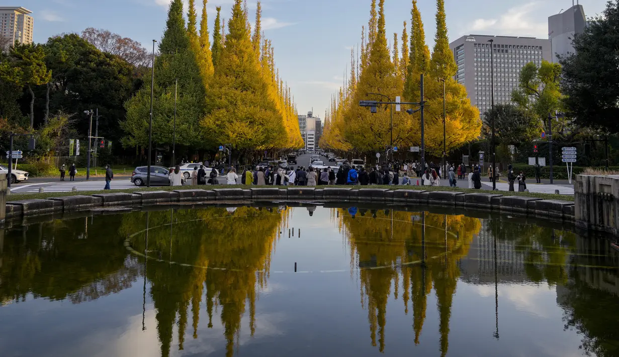 Orang-orang yang memakai masker pelindung untuk membantu mengekang penyebaran virus corona berjalan melalui deretan pohon ginkgo saat daun kuning cerah tercermin di permukaan air mancur  di Tokyo (29/11/2021). (AP Phot/Kiichiro Sato)