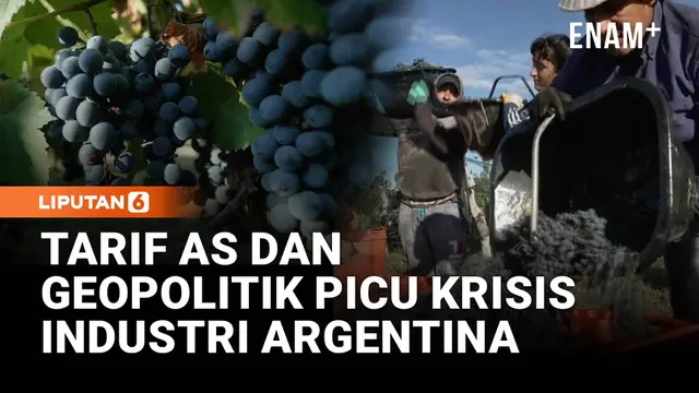 Geopolitik dan Kurs AS Tekan Industri Wine Argentina, 1.000 Kebun Anggur Tutup