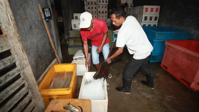 Penen Ikan Layur