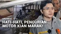 Pencurian motor di Jakarta kian hari, kian marak. Tak peduli siang dan malam pelaku melancarkan aksinya untuk menggasak motor. Bahkan, ada yang membawa senjata api saat beraksi.