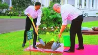 Presiden Jokowi mengajak PM Australia Scott Morrison menanam pohon di Istana Bogor (Liputan6.com/ Hanz Jimenez Salim)