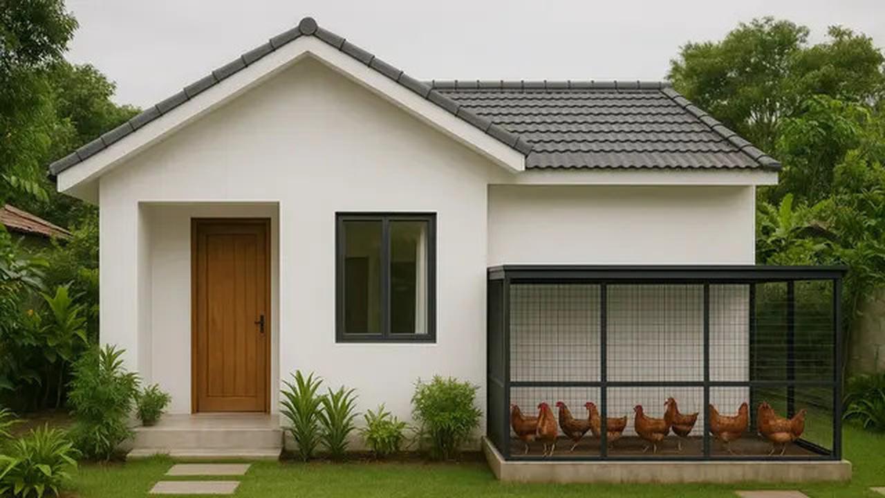 6 Model Kandang Ayam di Depan Rumah untuk Lahan Sempit, Fungsional dan Rapi