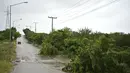 Pohon-pohon tumbang tergeletak di sisi jalan setelah berlalunya Badai Pamela di Mazatlan, Meksiko, Rabu (13/10/2021). Badai Pamela mendarat di pantai Pasifik Meksiko di utara Mazatlan pada hari Rabu, membawa angin kencang dan hujan ke kota pelabuhan. (AP Photo/Roberto Echeagaray)