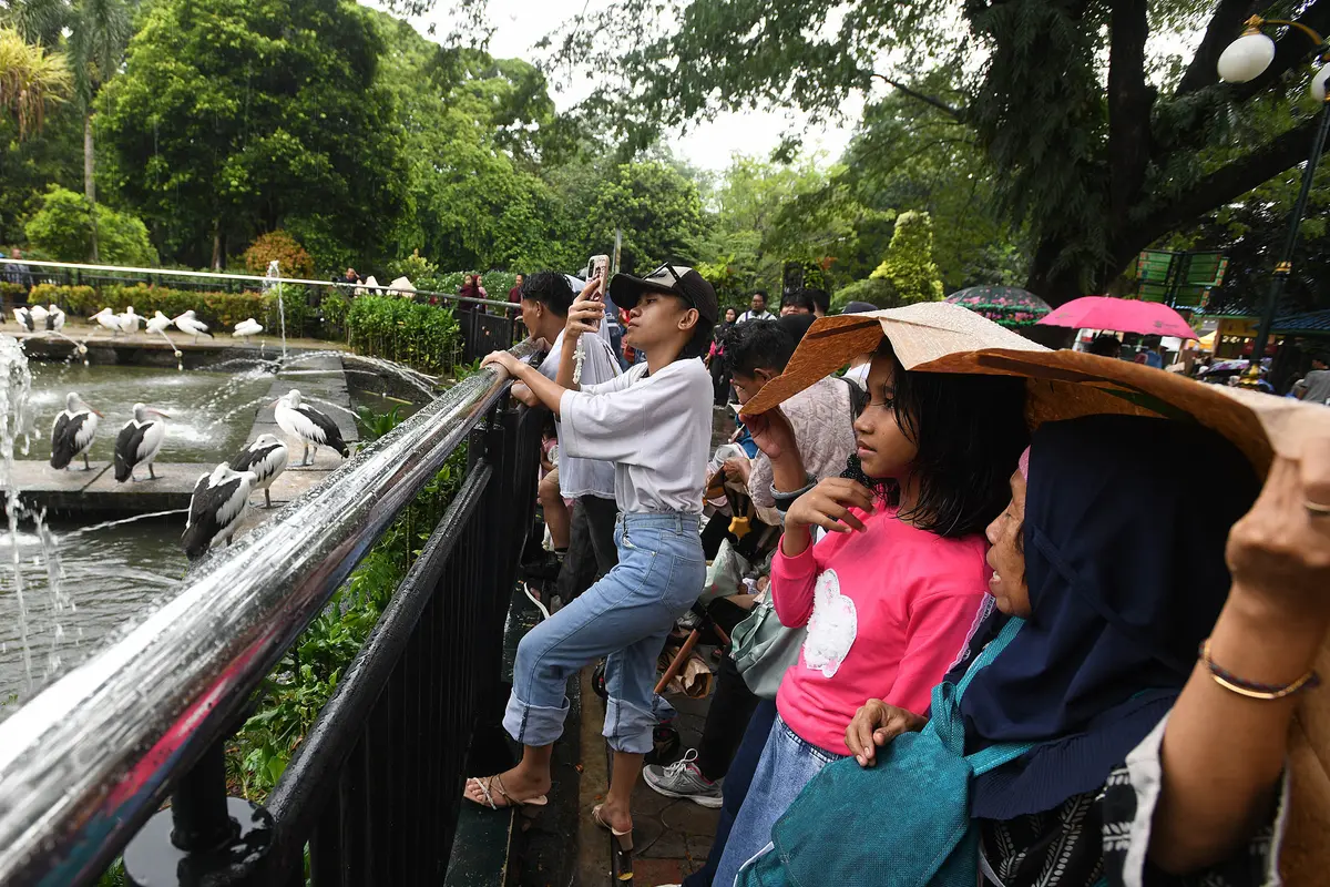 Ribuan Pengunjung Padati Kebun Binatang Ragunan Jakarta