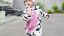 Foto-foto Gala memakai kostum sapi ini dibagikan lewat postingan instagram aunty nya, Fuji.(instagram.com @fuji_an)